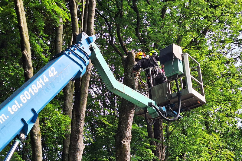 prace na wysokości Wodzisław Śląski