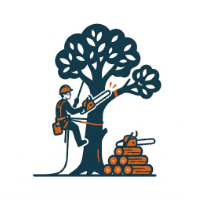 wycinka drzew Wodzisław Śląski