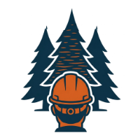 usługi arborystyczne Wodzisław Śląski